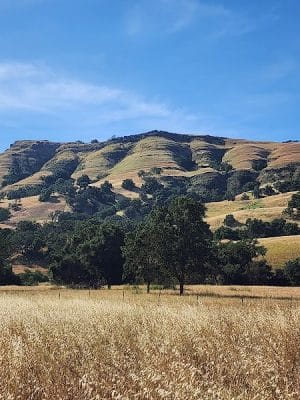 Flag Hill Trail