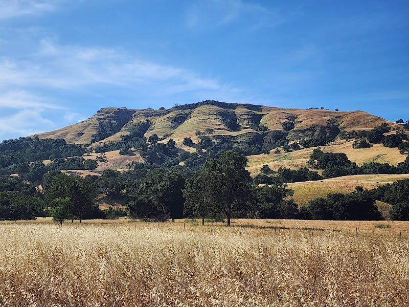 Flag Hill Trail - Sunol, CA