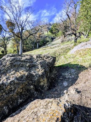 Flag Hill Trail