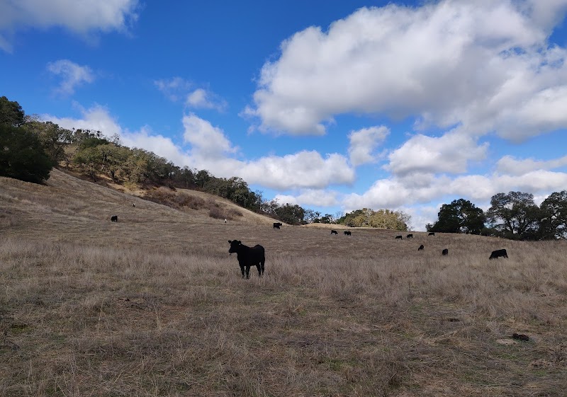Foothill Staging Area - Sunol, CA