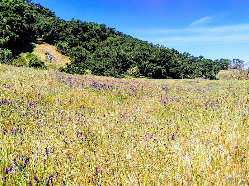 Foothill Staging Area - Sunol, CA