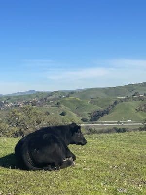 Foothill Staging Area