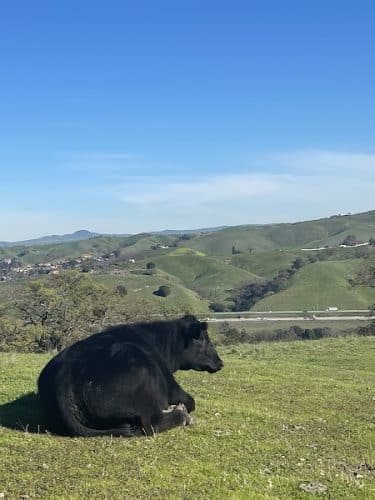 Foothill Staging Area
