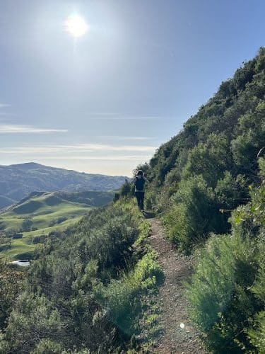 Sunol Regional Wilderness