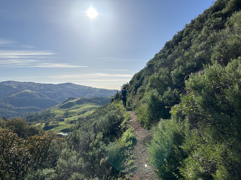 Sunol Regional Wilderness - Sunol, CA