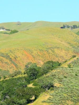 Sunol Regional Wilderness