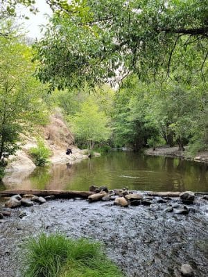Sunol Regional Wilderness