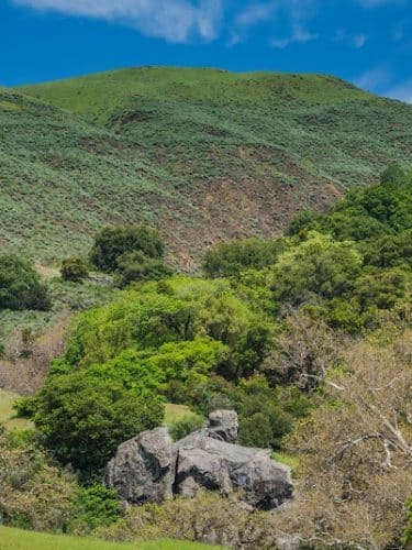 Sunol Regional Wilderness