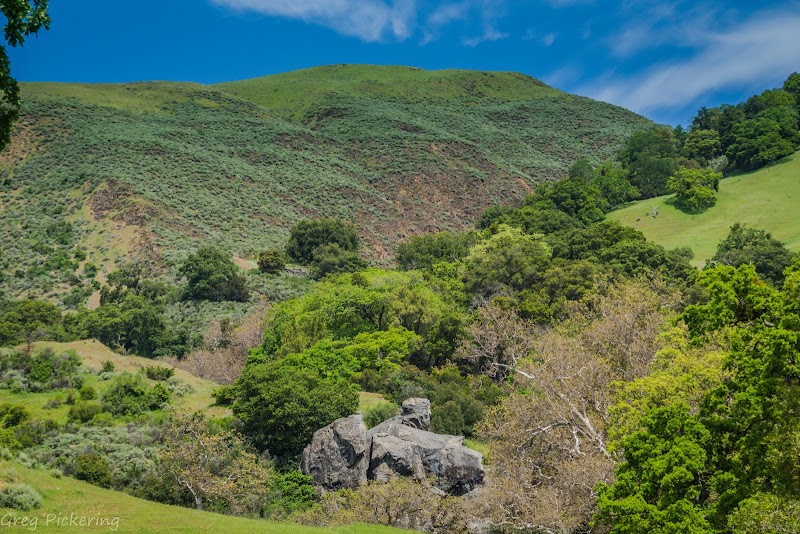 Sunol Regional Wilderness - Sunol, CA