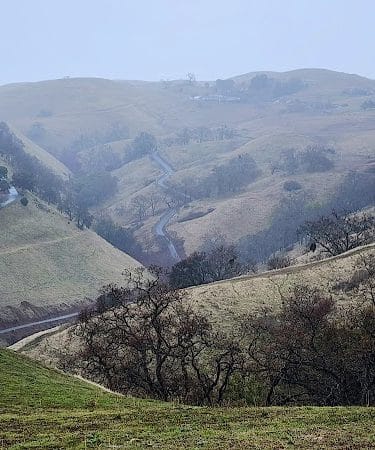 Sunol Regional Wilderness