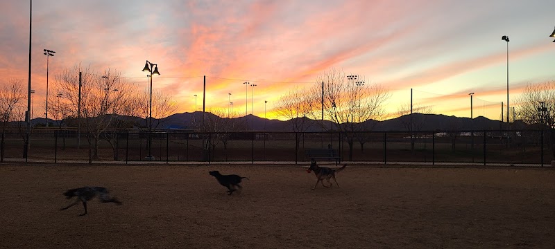 Dog Park - Surprise, AZ