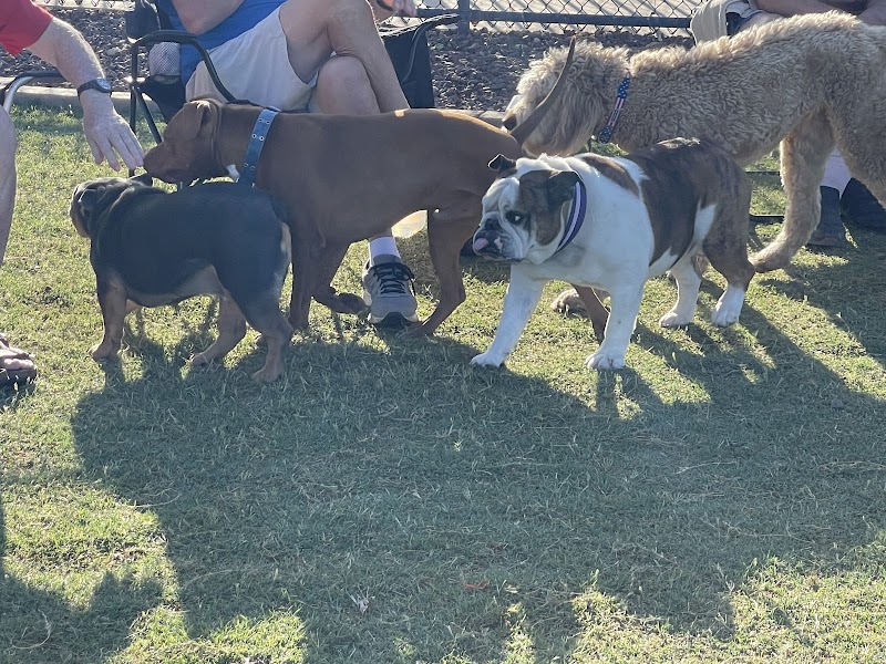Dog Park - Surprise, AZ