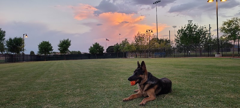 Dog Park - Surprise, AZ