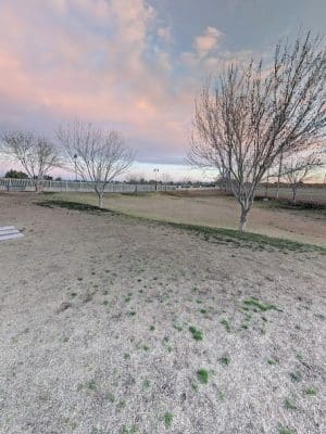 Dog Park