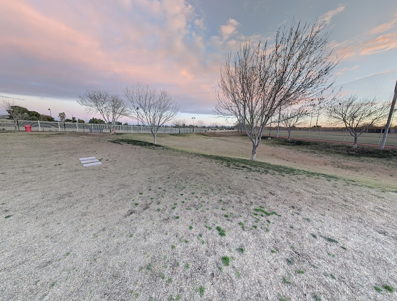 Dog Park - Surprise, AZ