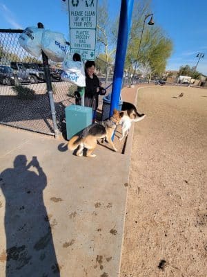 Dog Park