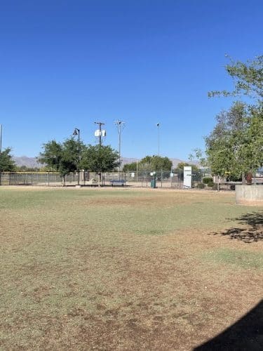 Dog Park