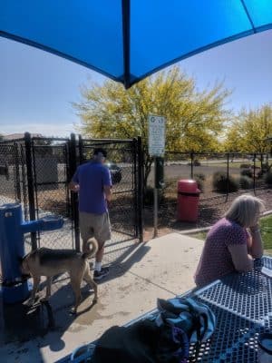 Dog Park