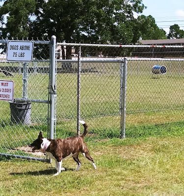 Harmon park - Swainsboro, GA