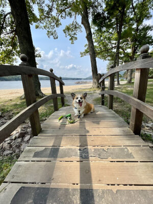 Deep Creek Lake Sand Beach