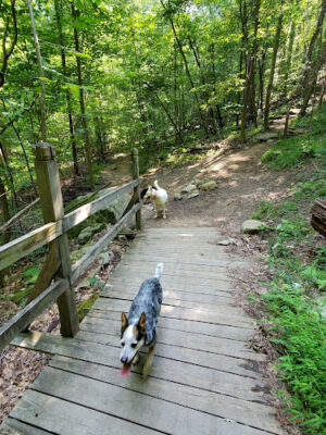 Deep Creek Lake State Park