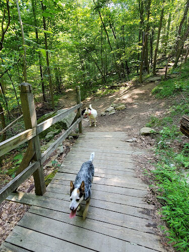 Deep Creek Lake State Park