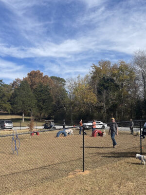 Wiggly Field Dog Park