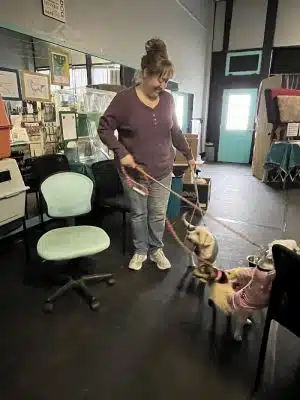 Pawsitive K9 Solutions - Colorado - Swink, CO