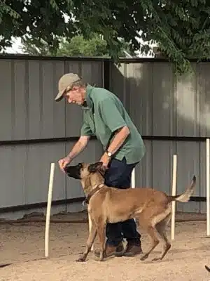 Pawsitive K9 Solutions - Colorado - Swink, CO