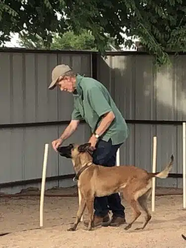 Pawsitive K9 Solutions - Colorado