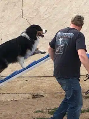 Pawsitive K9 Solutions - Colorado - Swink, CO
