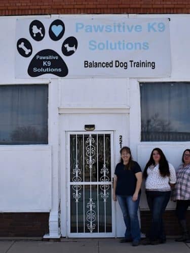 Pawsitive K9 Solutions - Colorado