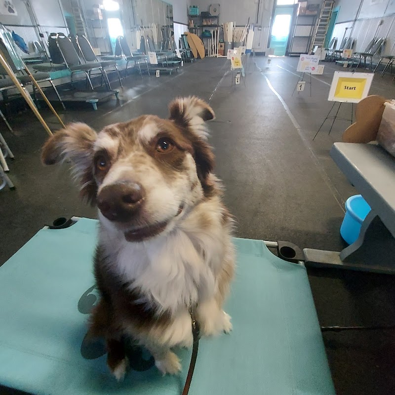 Pawsitive K9 Solutions - Colorado - Swink, CO