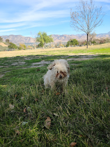 Carey Ranch Park