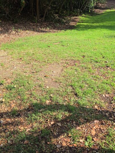 Veterans Memorial Community Regional Park - Sylmar, CA