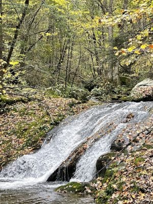 Mill Prong-Laurel Prong Loop Trailhead - Syria, VA