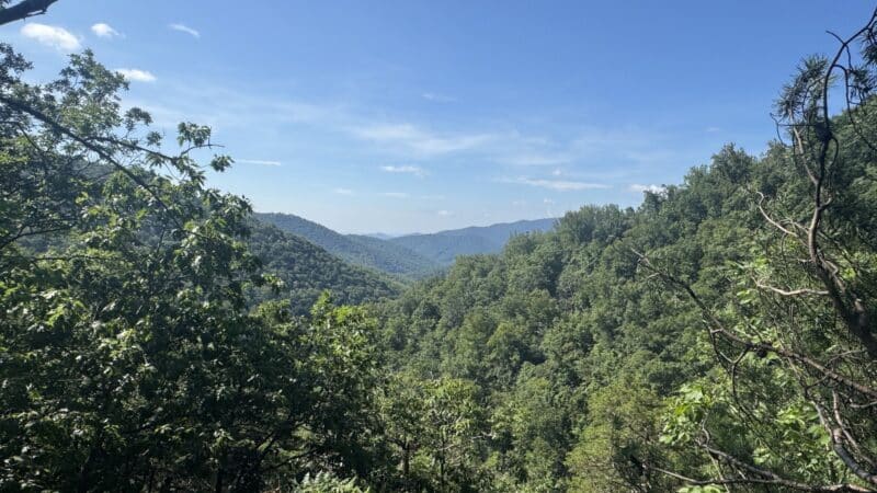 Whiteoak Canyon Falls Lower Trailhead - Syria, VA