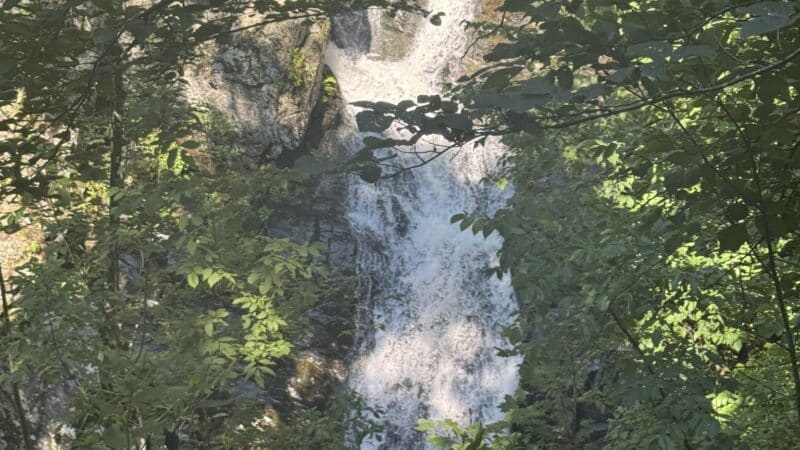 Whiteoak Canyon Falls Lower Trailhead - Syria, VA