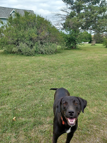 Tama County Humane Society