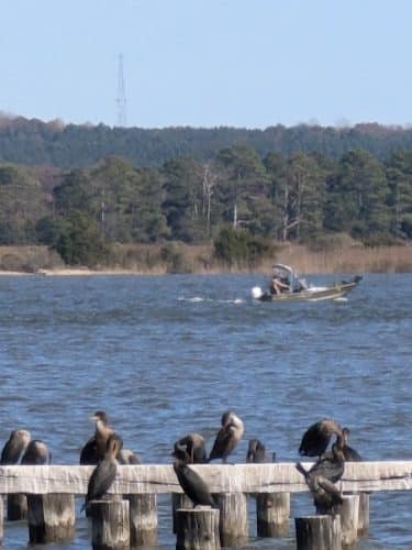Rappahannock River Park