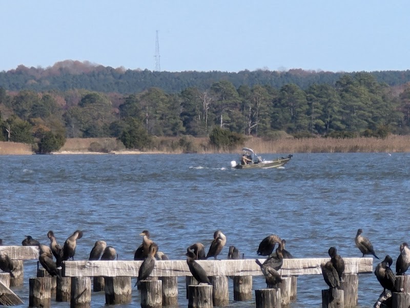 Rappahannock River Park - Tappahannock, VA