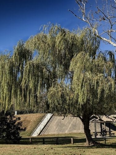 Rappahannock River Park