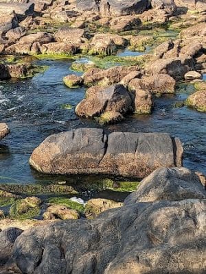 Rappahannock River Park - Tappahannock, VA