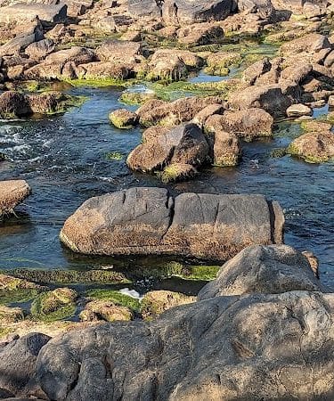 Rappahannock River Park