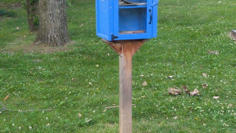 Boardman Park - Taylor,