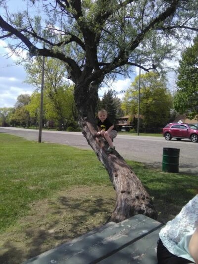 Papp Park - Taylor,