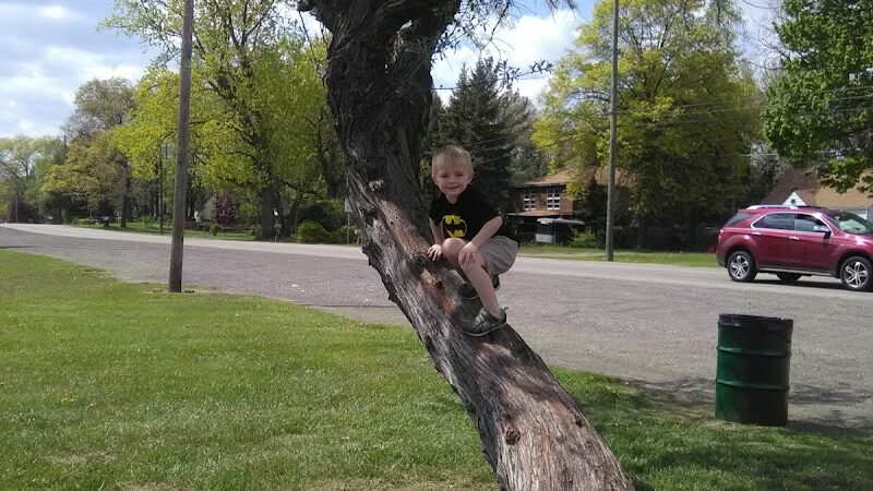 Papp Park - Taylor,