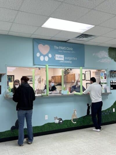 The Paws Clinic - Taylor,