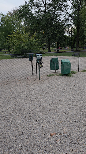 Phelps Park Dog area