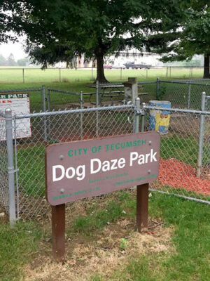Dog Daze Park